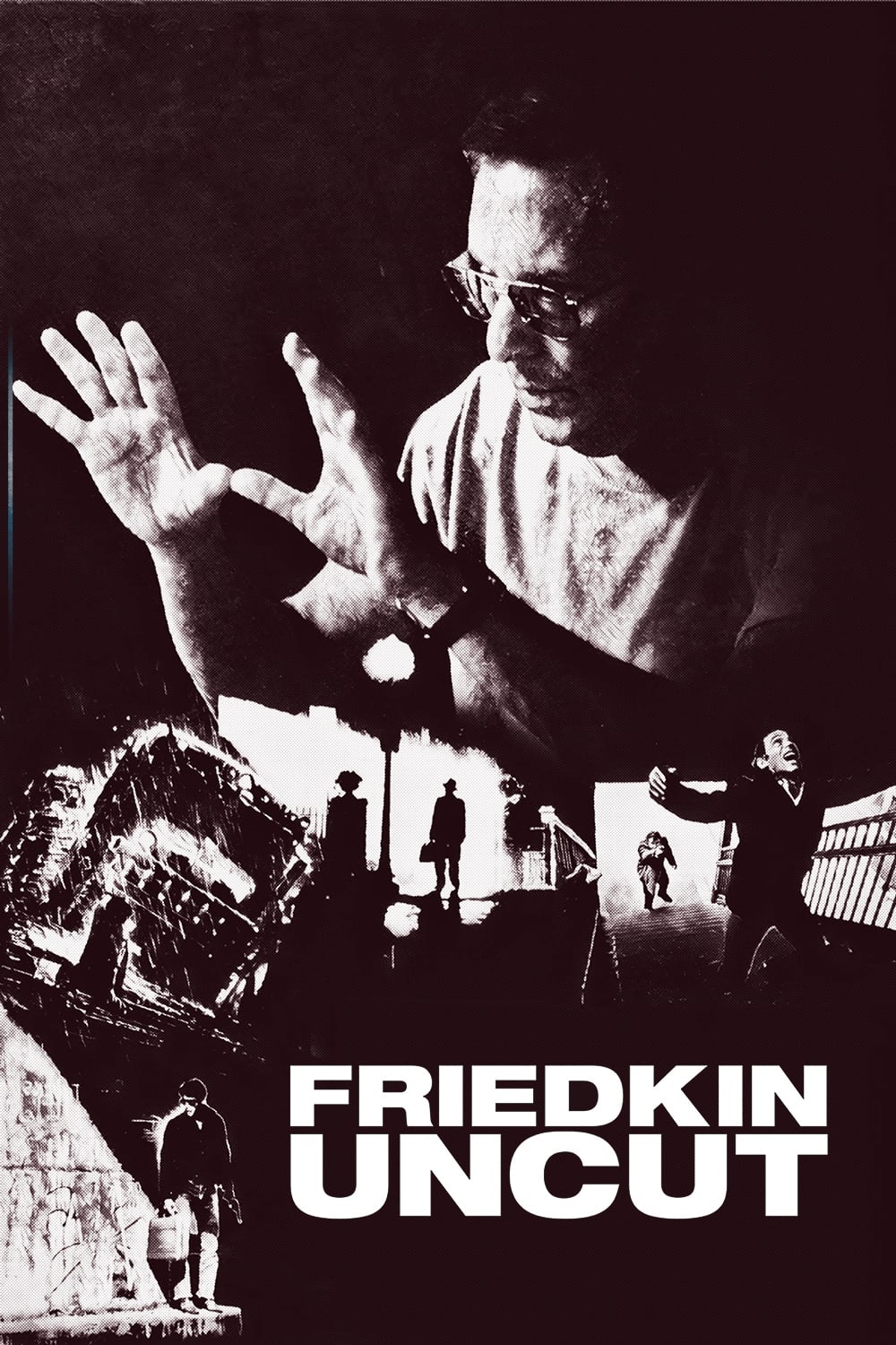 Постер Friedkin Uncut